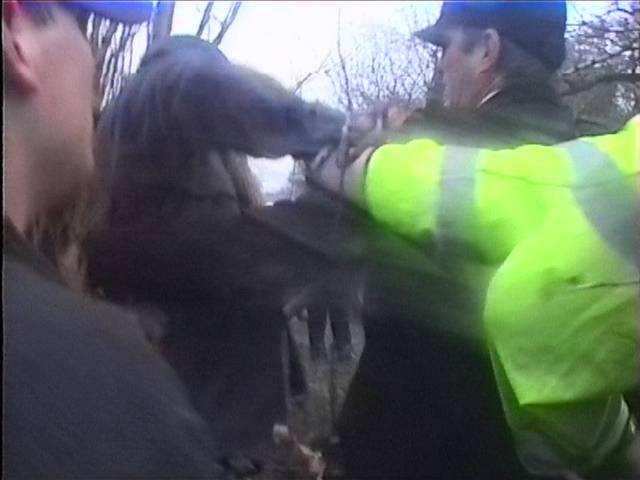 Chiddingfold hunt member fights to get the fox body and is restrained by police