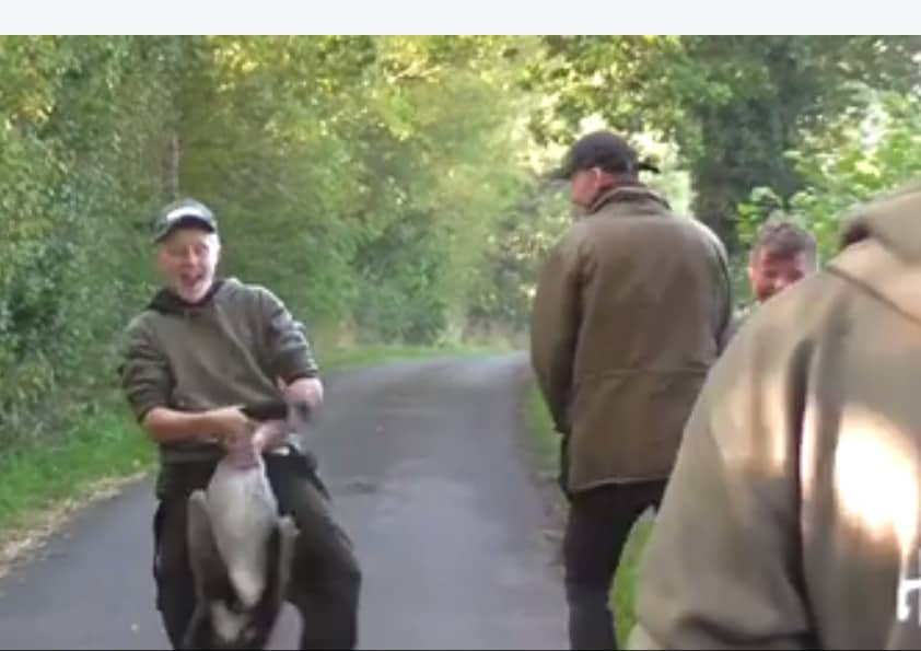 Atherstone Foxhounds Employee Interfering With aGoose