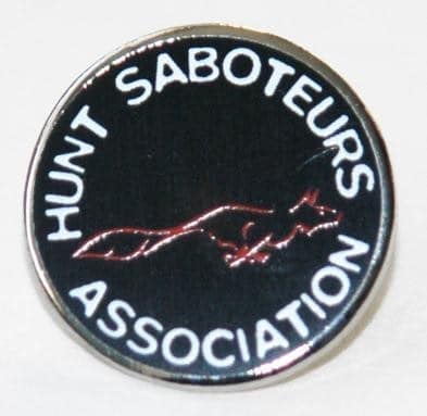 metal enamel badge of hsa logo