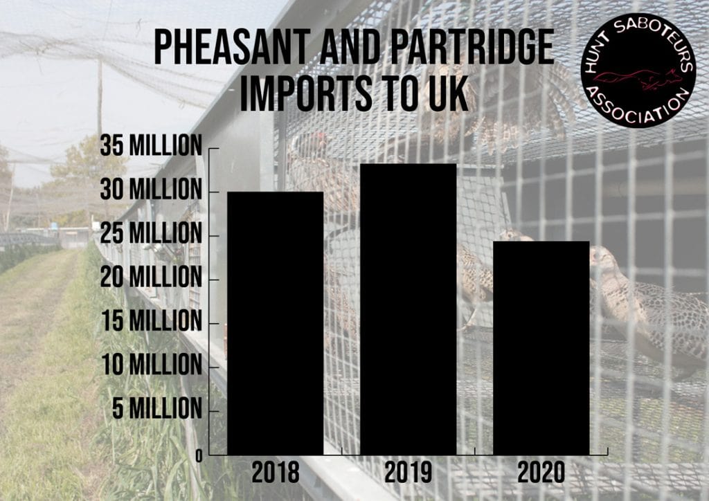 Huge numbers of ‘gamebirds’ are brought to the UK each year. 
