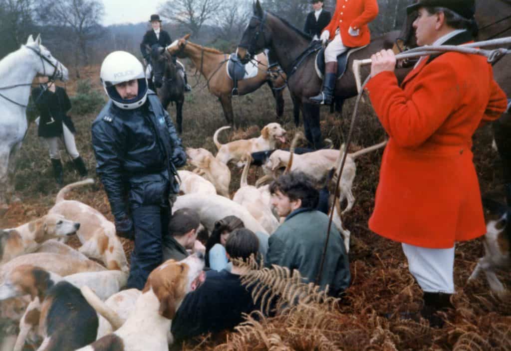 Saboteurs from the New Forest and Winchester protect a fox earth from the New Forest Foxhounds 