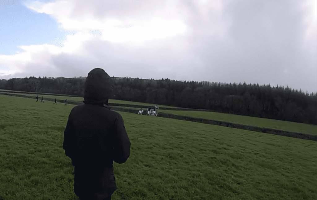 Sabs close in on the Exe Valley Buckhounds. 
