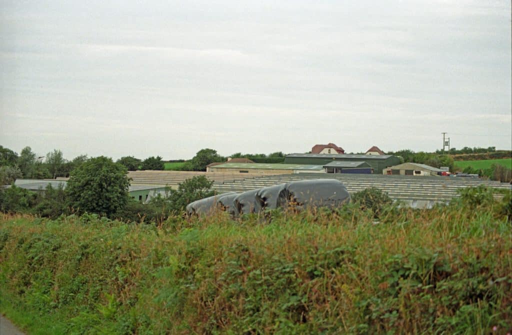 Row after row of imprisoned mink, Cobbledick Mink Farm, 1996 © ACIG