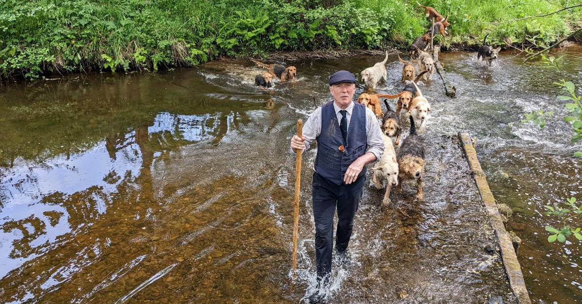 mink hunts featured