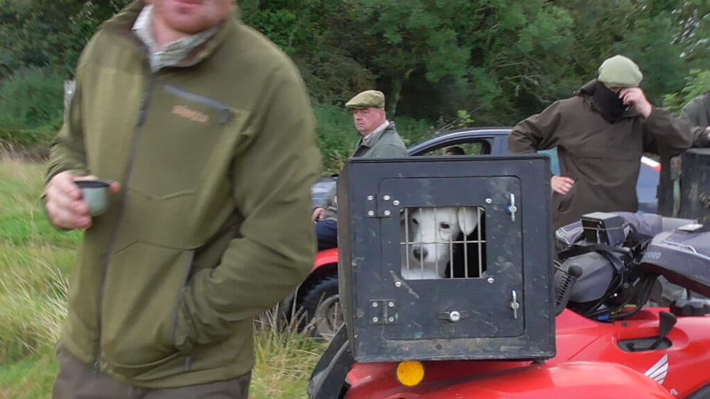 Terriermen are essential to illegal fox hunting.
