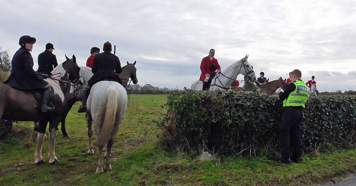 avon vale hunt