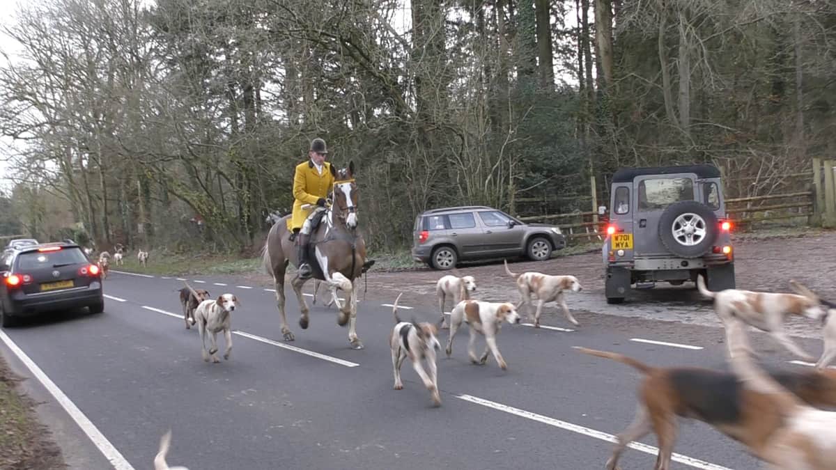 berkeley hunt