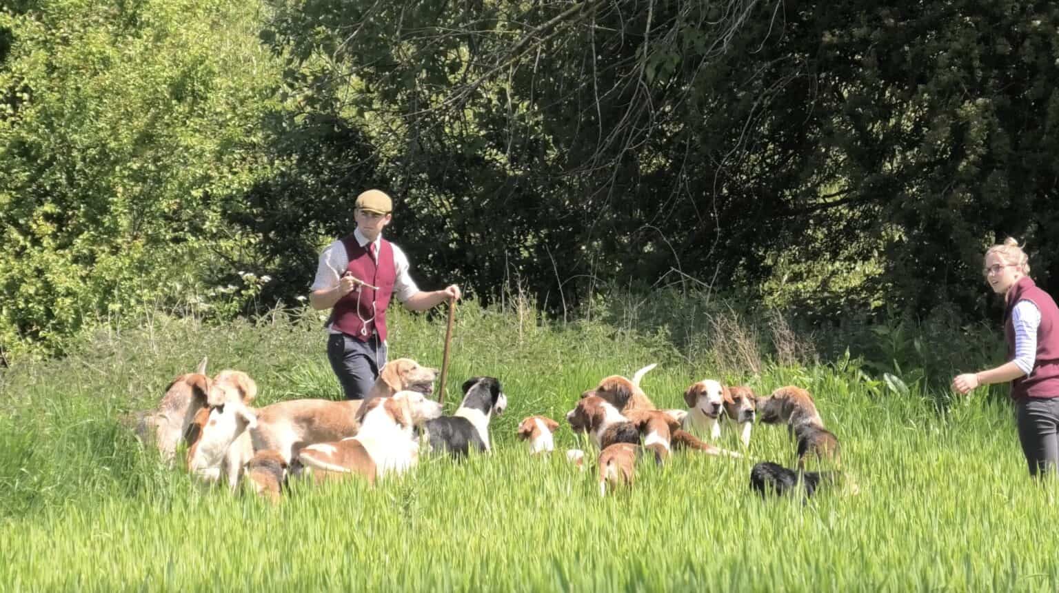 Mink Hunt Sabbing Is Go! Hunt Saboteurs Association