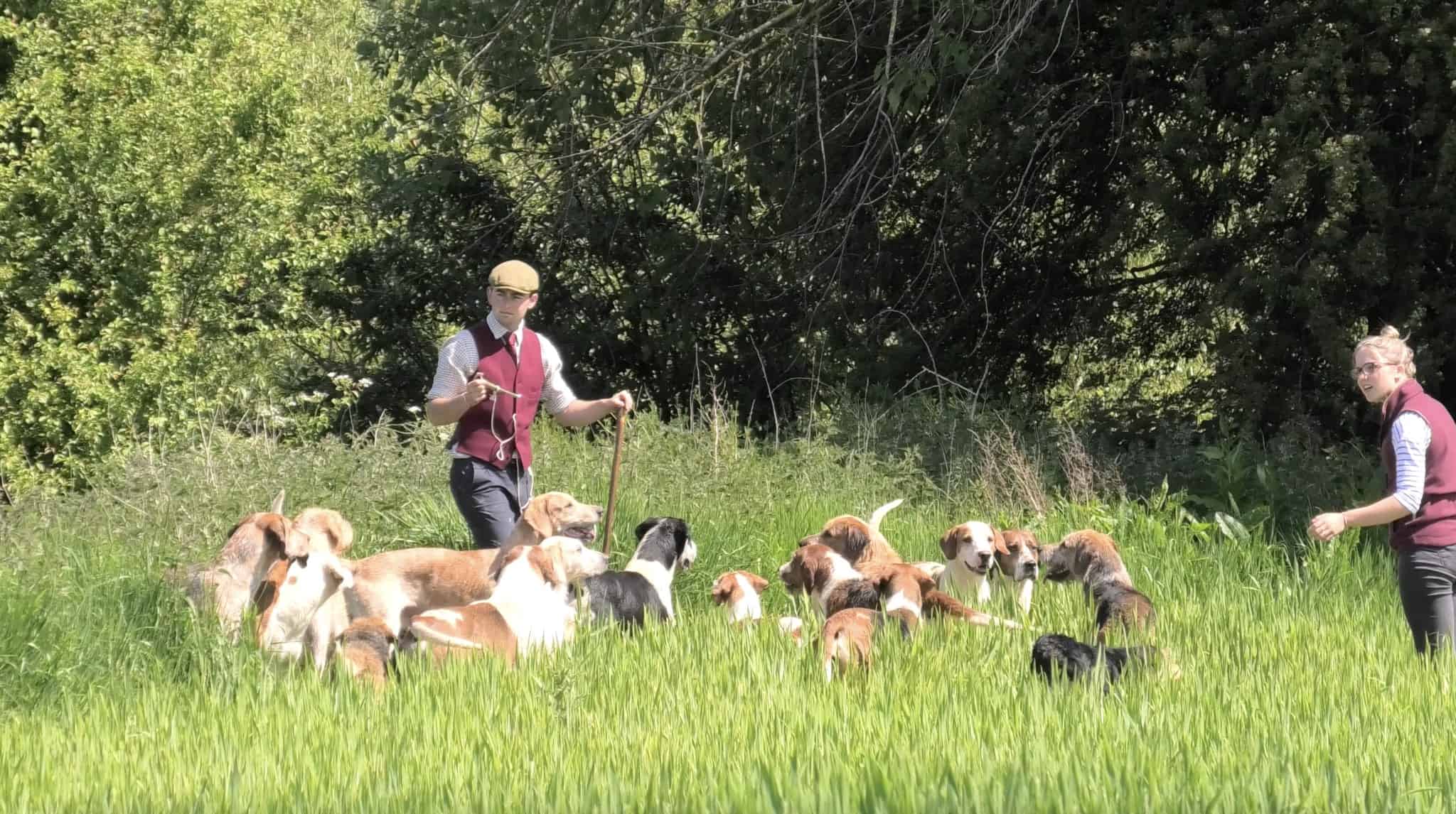 Dodgy: Three Counties huntsman gathers up hounds as sabs approach. ©CIHW