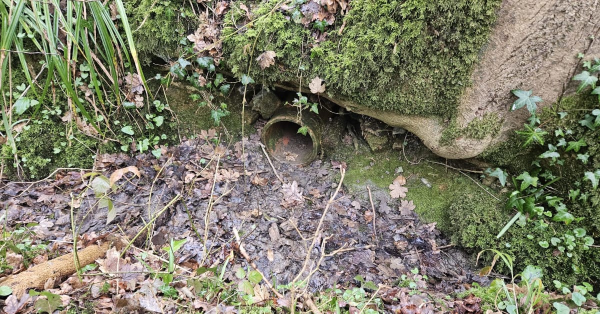 Figure 1 : Entrance to a recently found Artificial Earth taken in 2023. Image courtesy of Wiltshire Hunt Saboteurs.