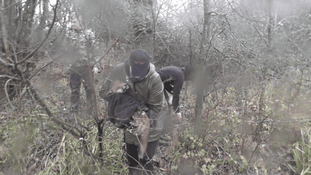 An SES sab with the fox moments after the kill.
