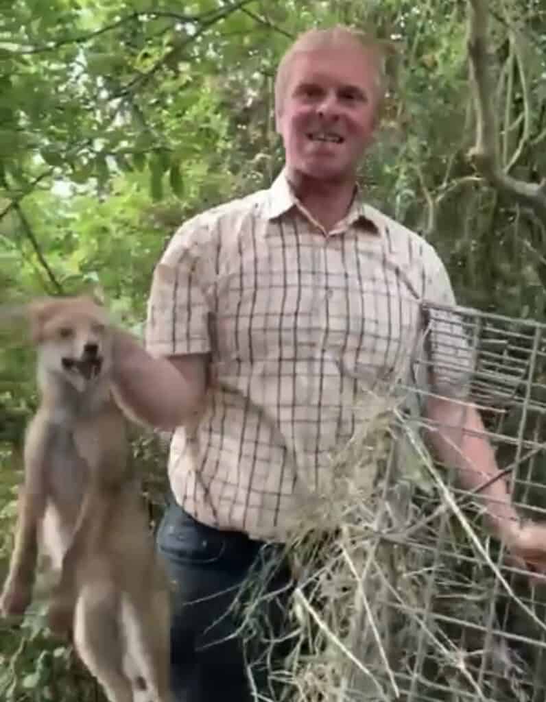 Oli Thompson the former AV Kennel Huntsman, whose wife Felicity filmed him as they tormented a young fox, baiting it to one of their terriers, whilst working at the Avon Vale. Thompson was replaced by Fookes at the kennels in 2021.