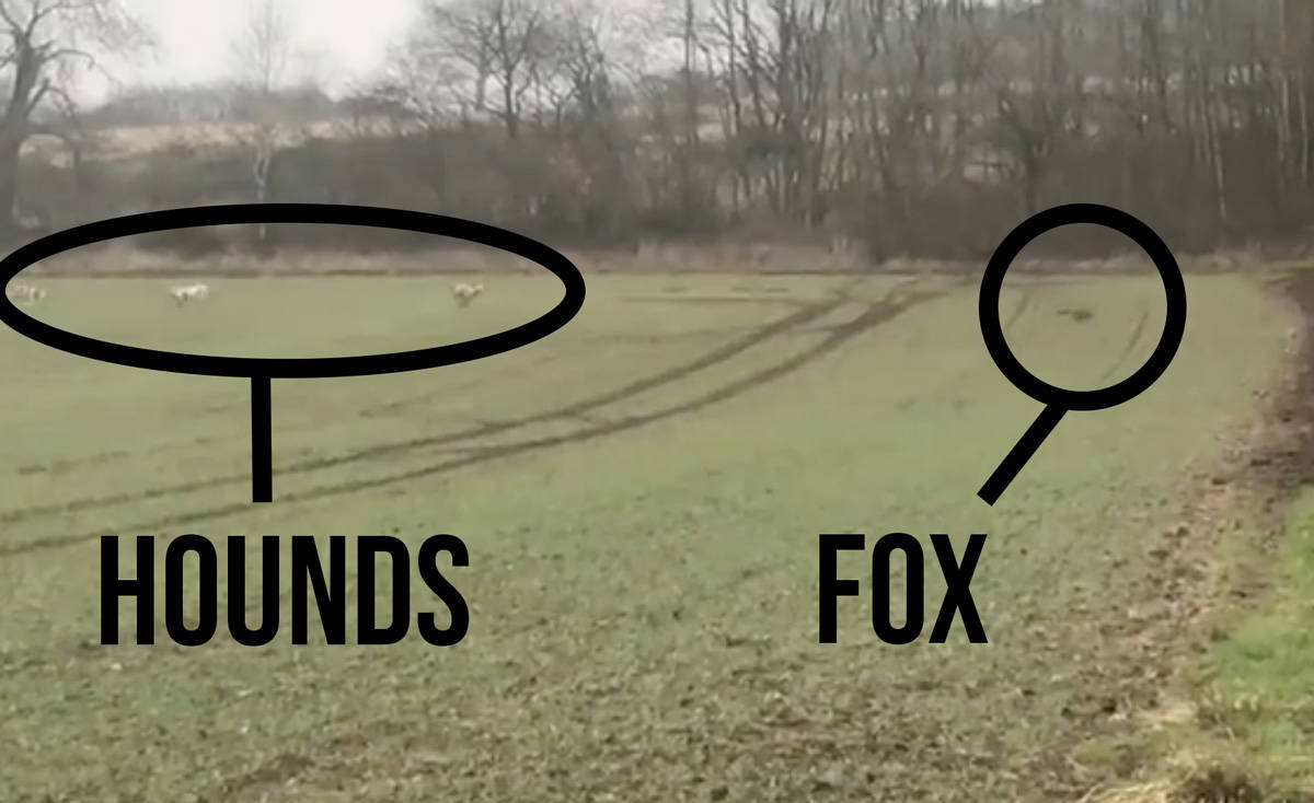 Middleton Hunt The Trail Of Lies In North Yorkshire - Hunt Saboteurs Association