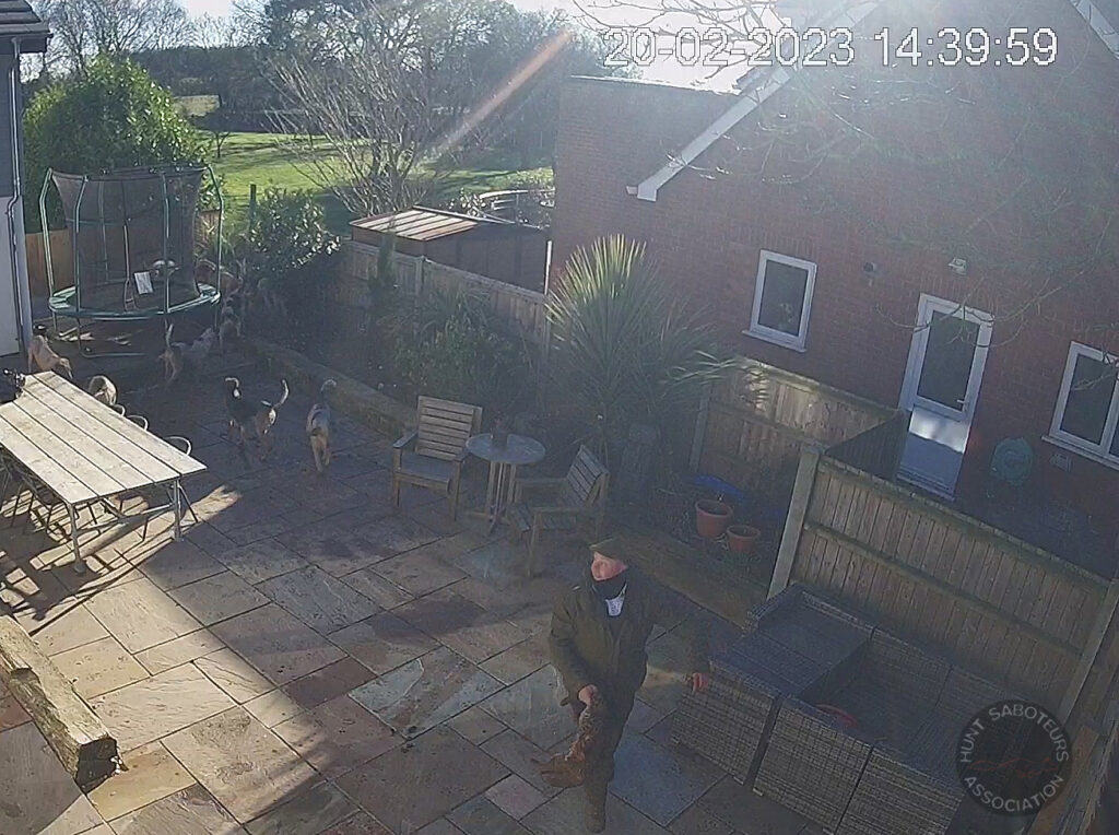 West Norfolk Hunt have invaded the garden of an elderly woman and killed a fox on her patio