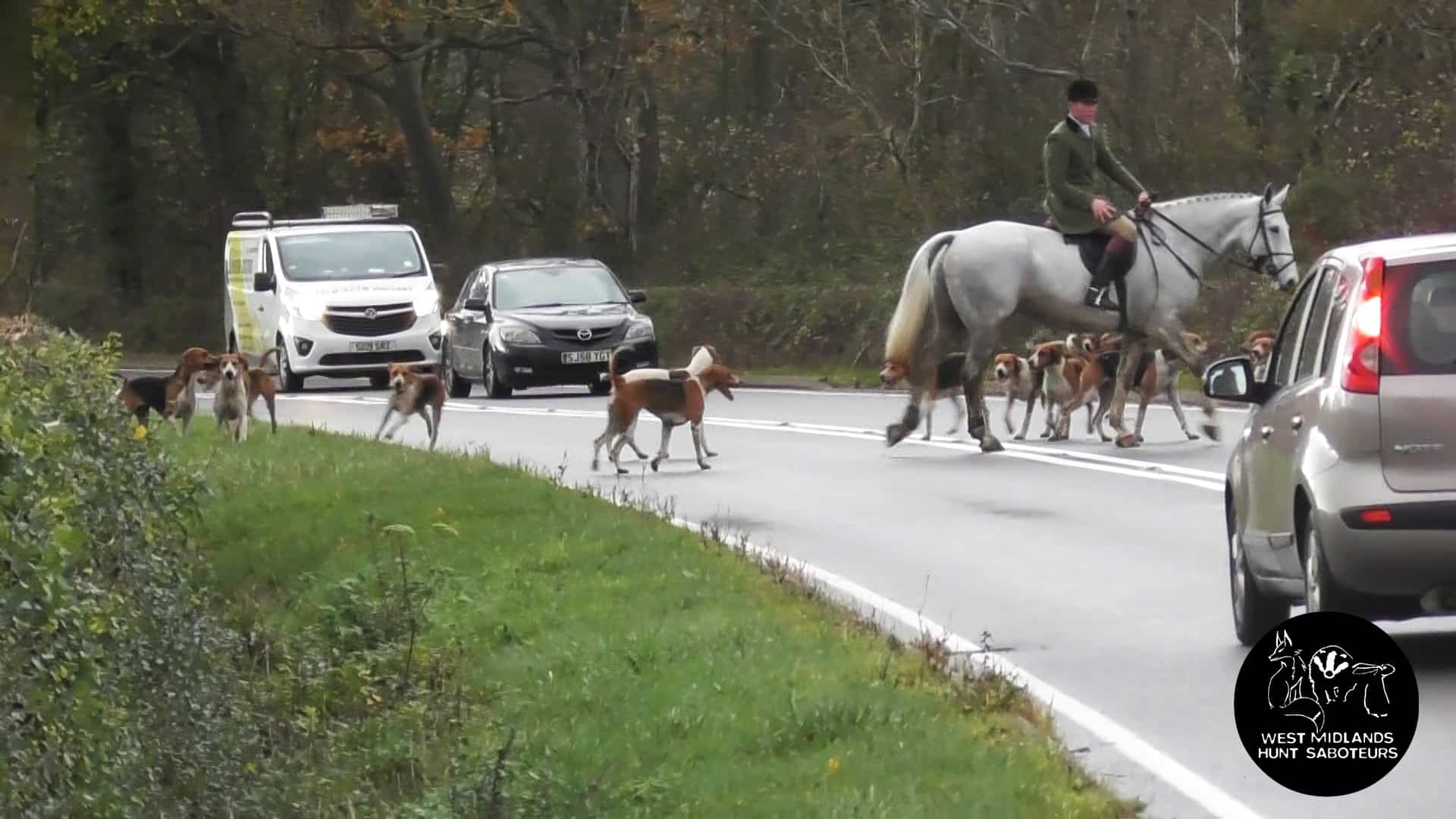 Warwickshire Hunt cause traffic chaos.