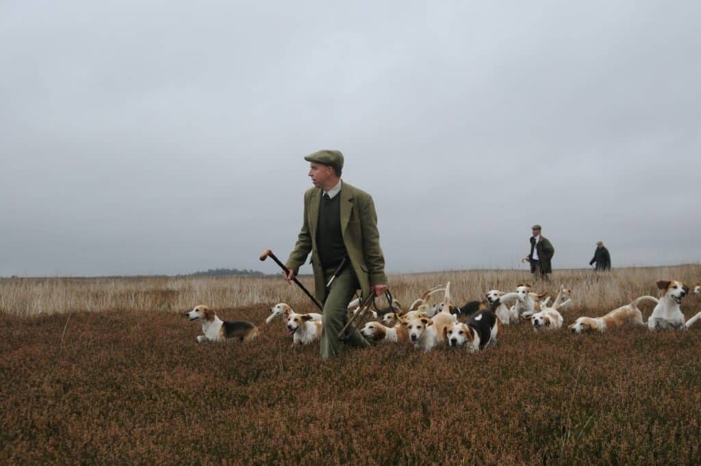 Warwickshire Beagles sabbed up north.  
