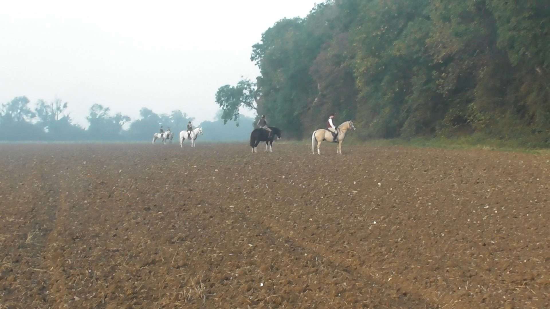Mounted followers of the Oakley Hunt ‘hold up’ a wood - September 2023. Courtesy of Beds & Bucks Hunt Sabs