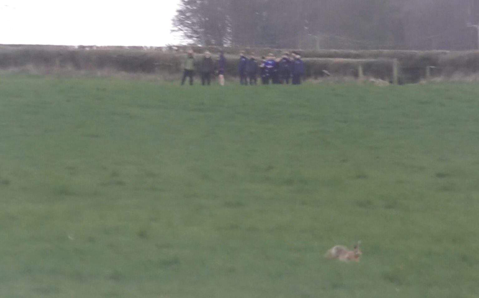School Boy Error: Yorkshire School Hosts Illegal Hare Hunt - Hunt ...