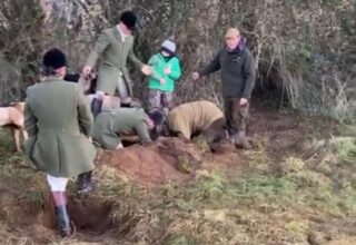 Tom Ledbury (far right) supervises a dig out of a fox to be thrown to hounds as a young child looks on.