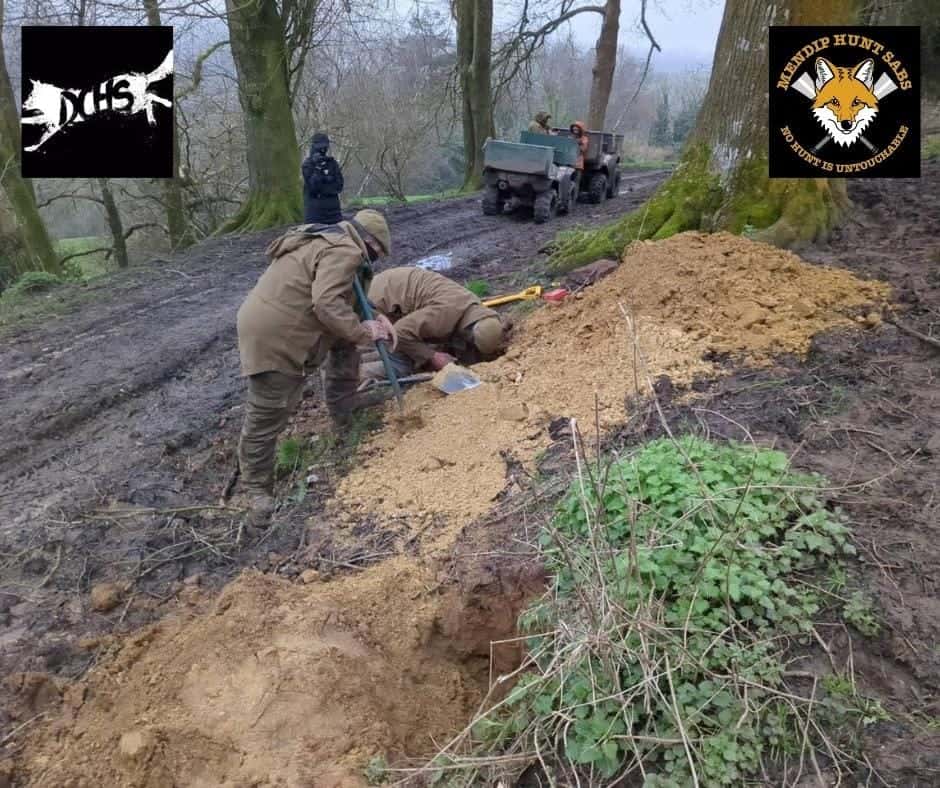 Terriermen try to find their ‘trail’ which has escaped into a badger sett. © Devon County Hunt Sabs & Mendip Hunt Sabs