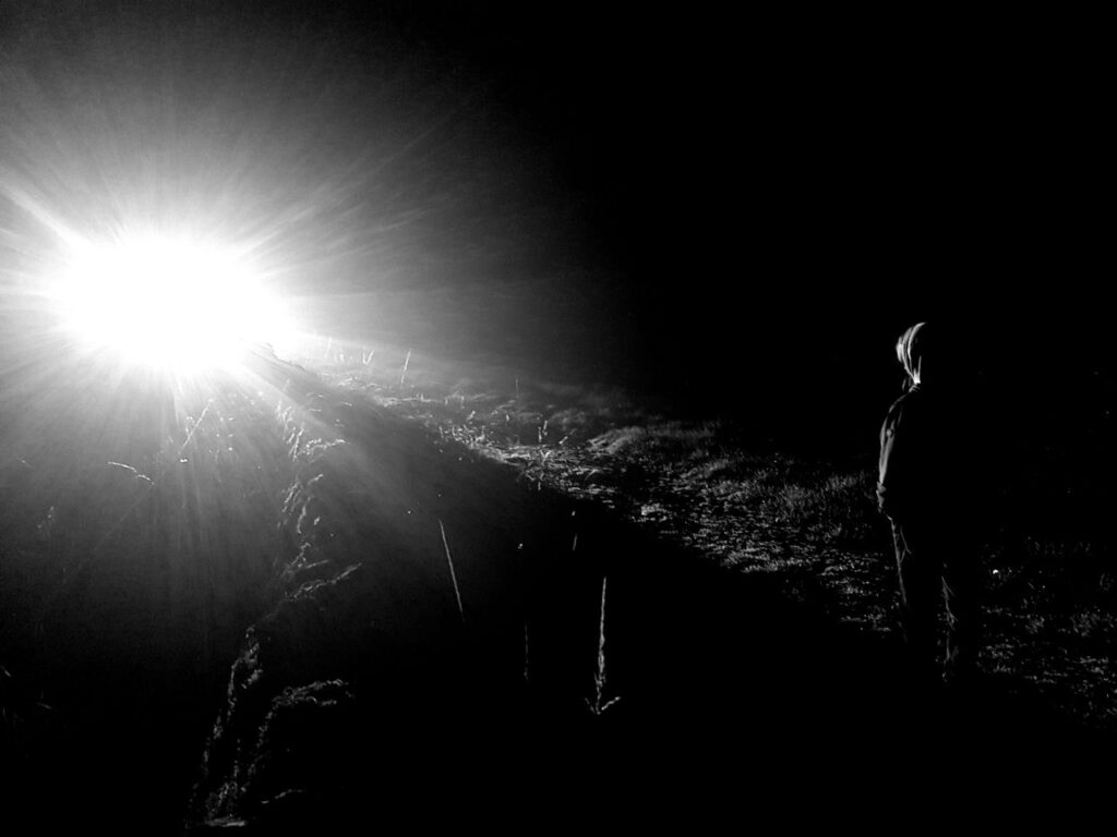 Sabs in action against the cull, image via Derby Hunt Saboteurs.