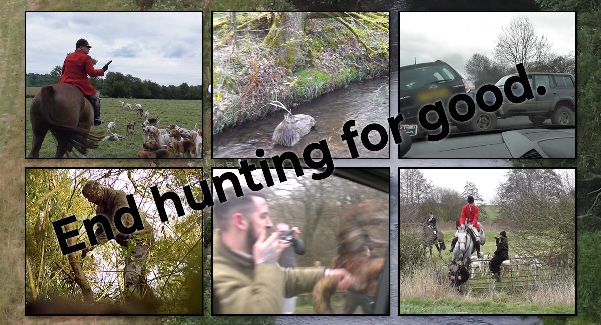 end hunting for good