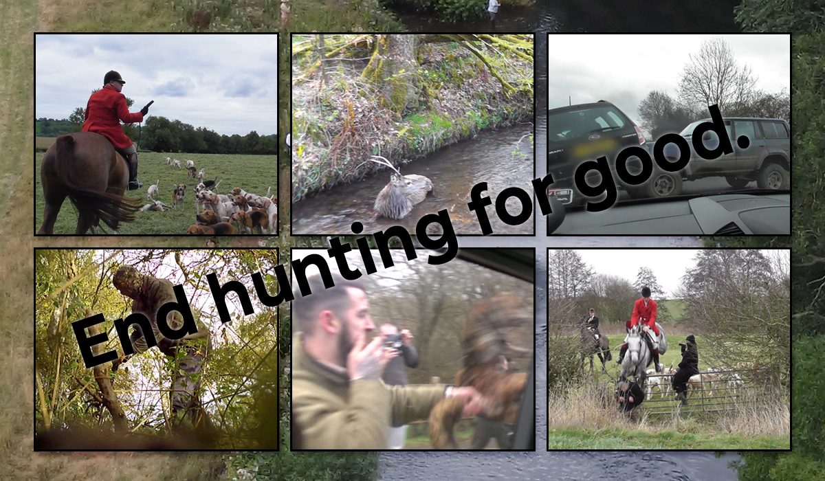 end hunting for good
