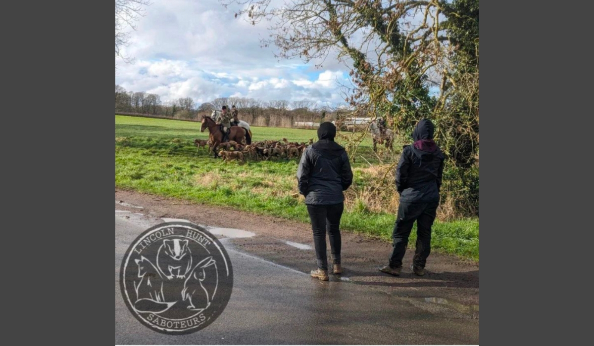 Lincoln Hunt Sabs with the Burton Hunt