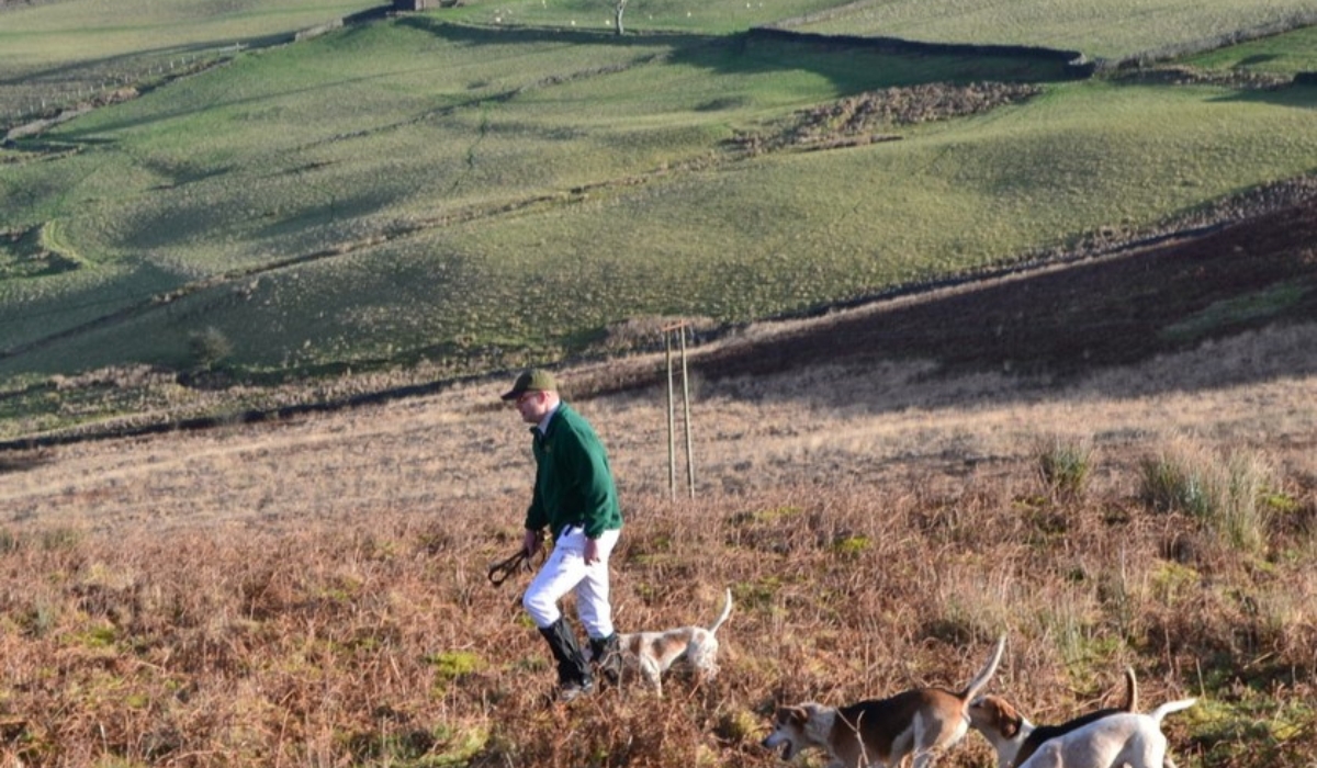Another South Wales hunt bites the dust