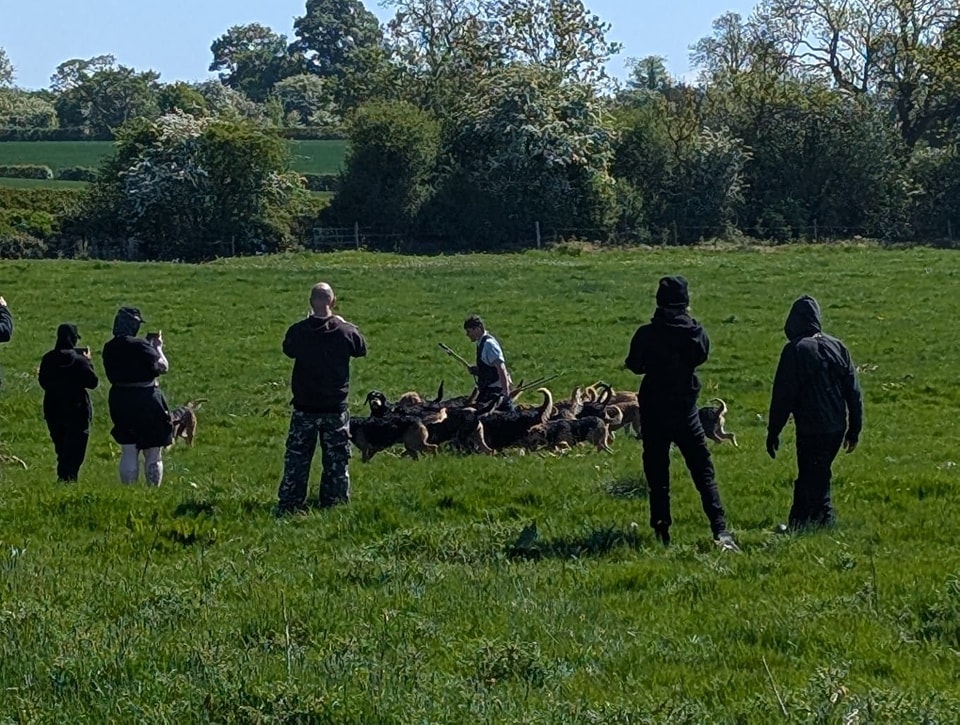 Dove Valley surrounded by sabs. Image via Nottingham Hunt Saboteurs.
