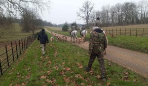 Hunt saboteurs – not guilty!