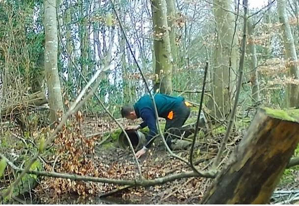                 Crouch sniffs the artificial earth to detect the presence of foxes. 
