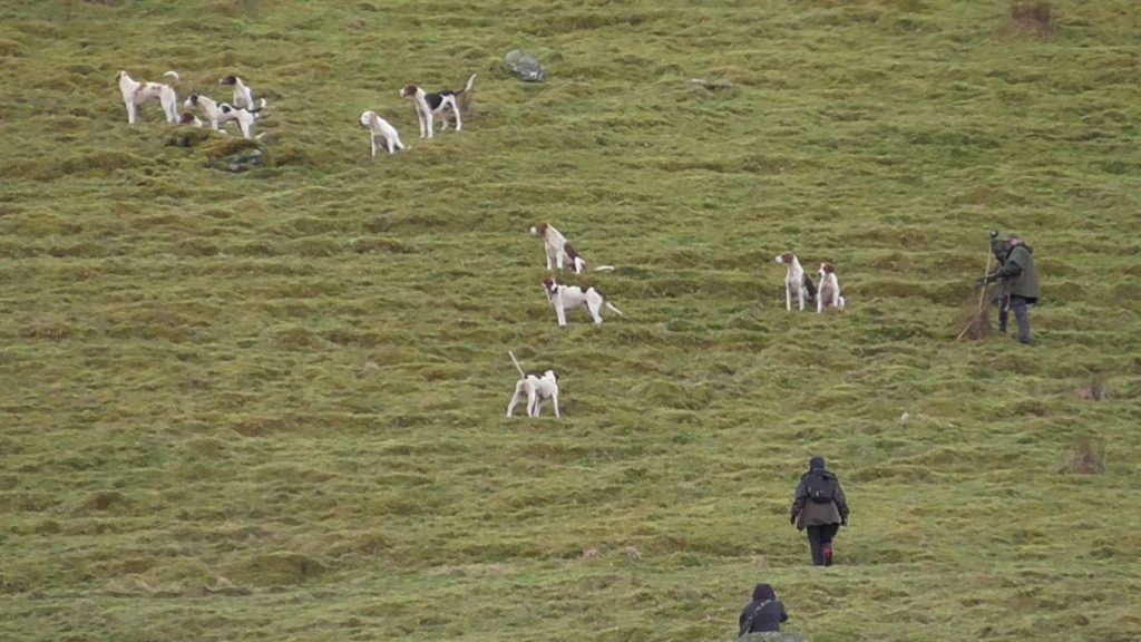 Sabs take on the fell hunters on a previous occasion.