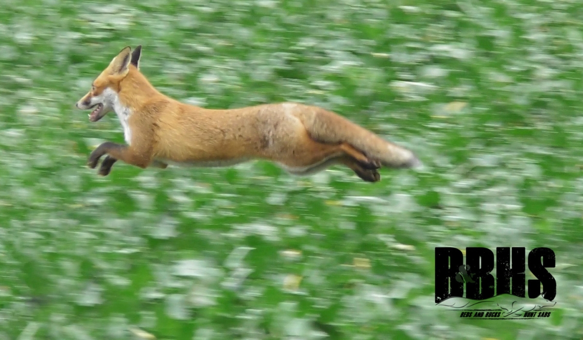 main season round up