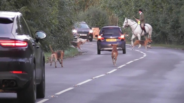 Health and Safety at work?