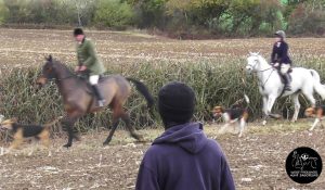 Warwickshire Hunt