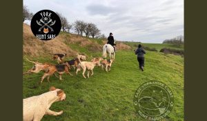 Hunt sab up with the hunt.