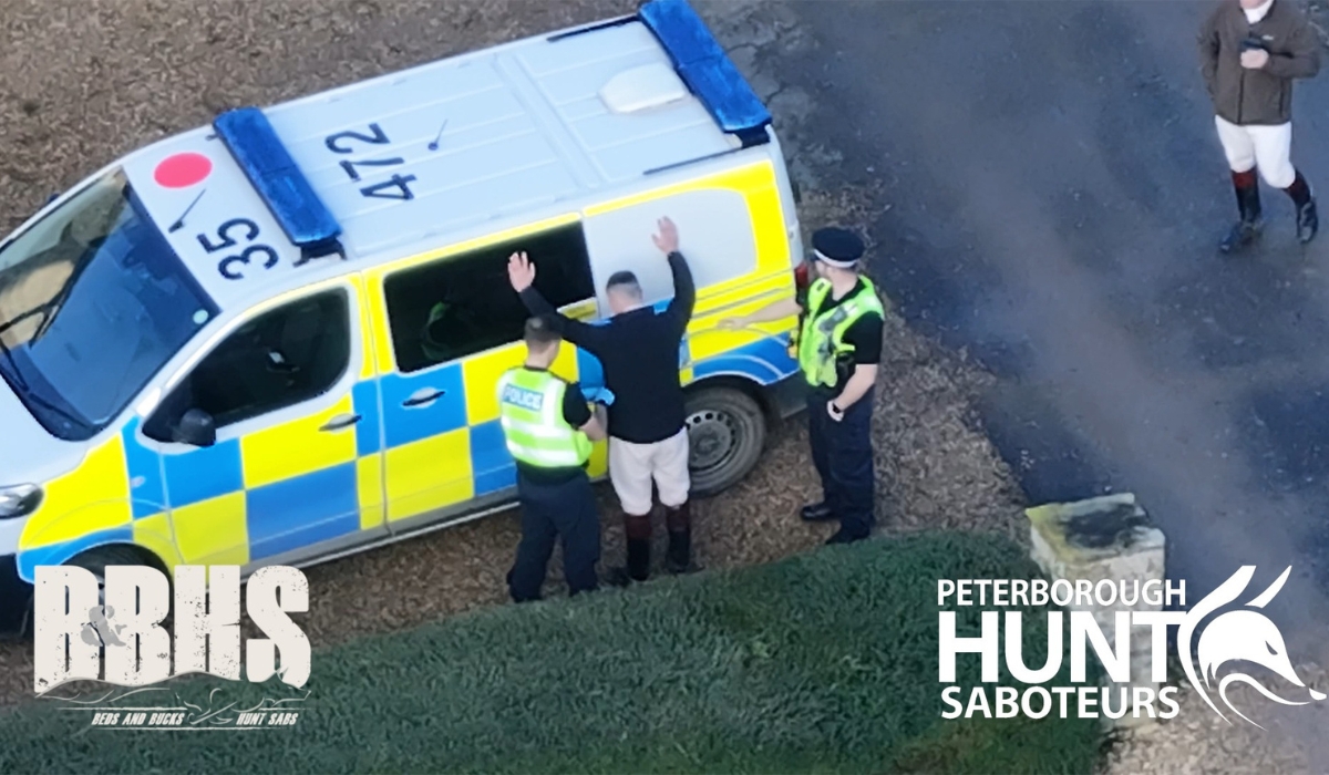 OLD HAT: POLICE REVERT TO TYPE OVER SAB ASSAULT