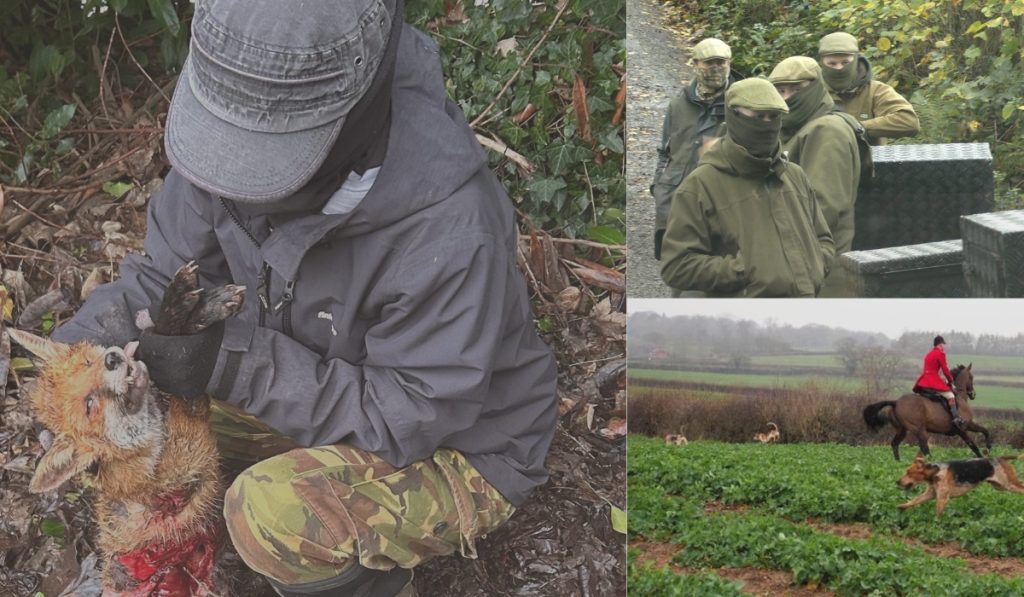 SCENT TO DECEIVE US: THE SMOKESCREEN OF TRAIL HUNTING