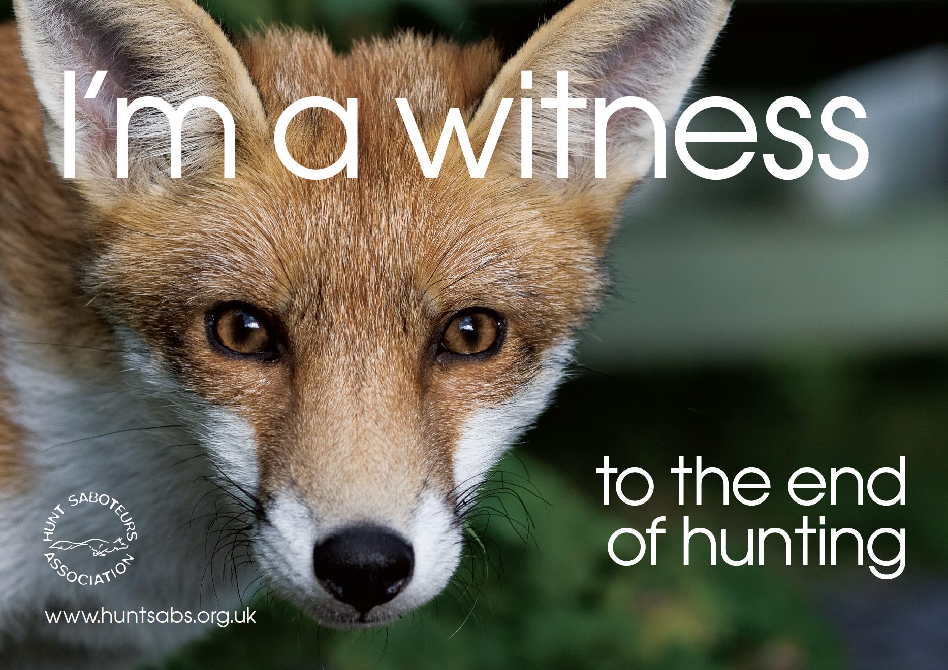 witness the end of hunting