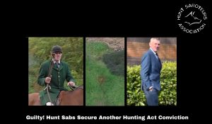 Guilty! Hunt Sabs Secure Another Hunting Act Conviction