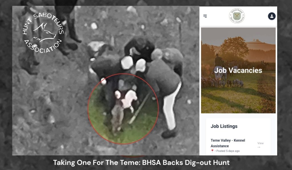 Taking One For The Teme: BHSA Backs Dig-out Hunt