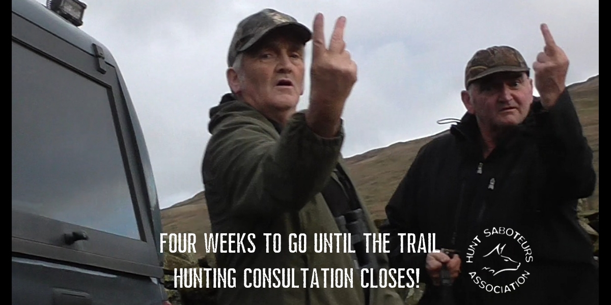 Four Weeks To Go Until The Trail Hunting Consultation Closes!
