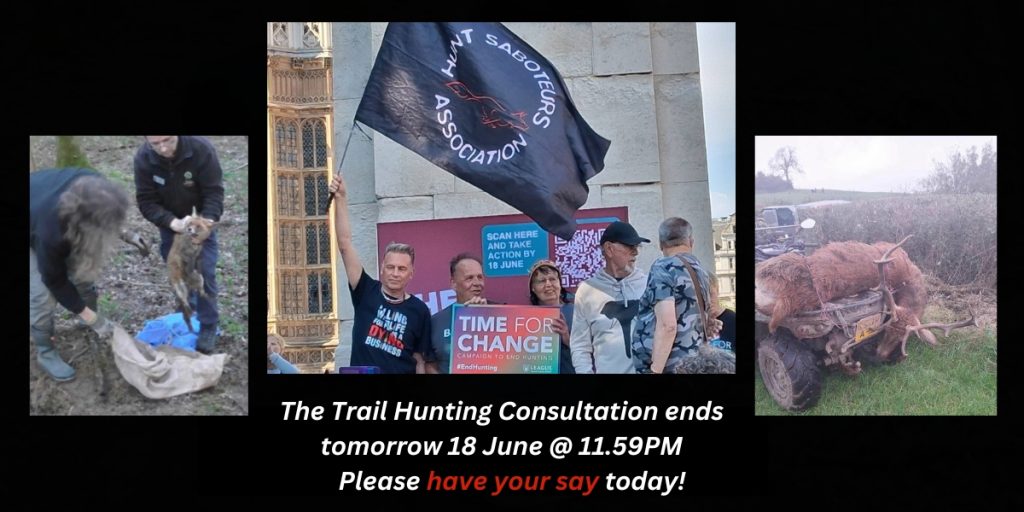 Trail Hunting Consultation – Please Do It Today!