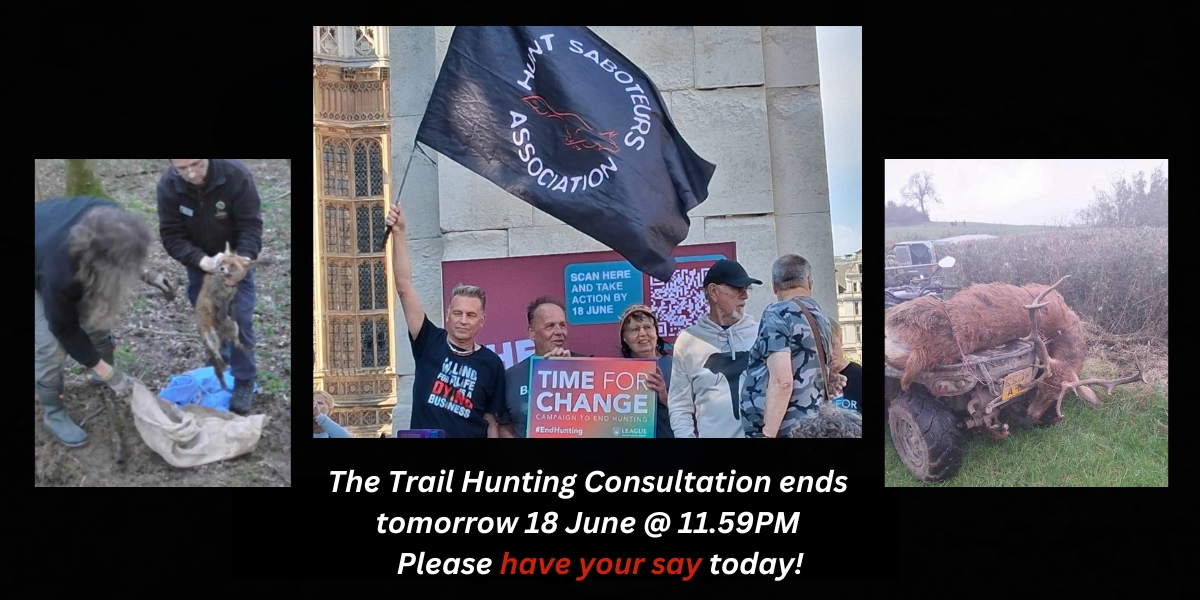 Trail Hunting Consultation – Please Do It Today!