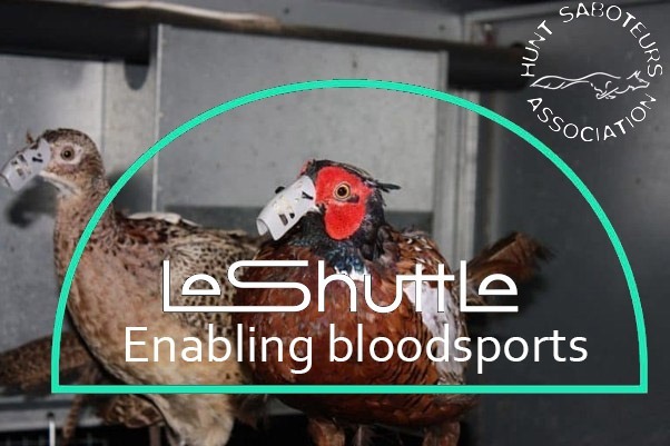 Le Shuttle enabling bloodsports