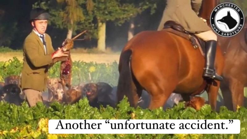 Image for the Tweet beginning: In our booklet “Witness The