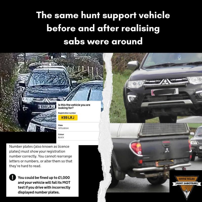 Image for the Tweet beginning: Vale of Clettwr Hunt –