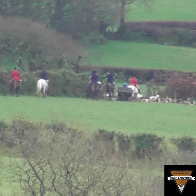Image for the Tweet beginning: Vale of Clettwr Hunt –
